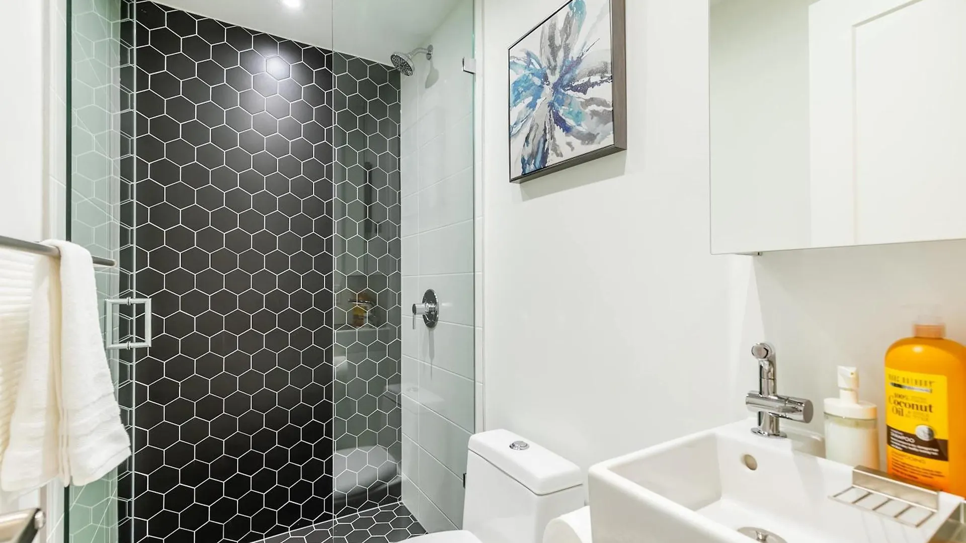Large 3Br Apartment Steps From High Park Toronto Canada